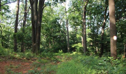Photo #9 of BAXTER DR, STANLEY, VA 33.3 acres