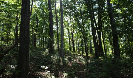 Photo #12 of BAXTER DR, STANLEY, VA 33.3 acres