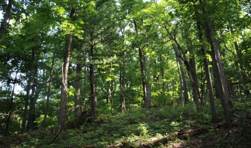 Photo #13 of BAXTER DR, STANLEY, VA 33.3 acres