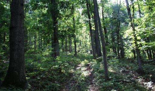 Photo #14 of BAXTER DR, STANLEY, VA 33.3 acres