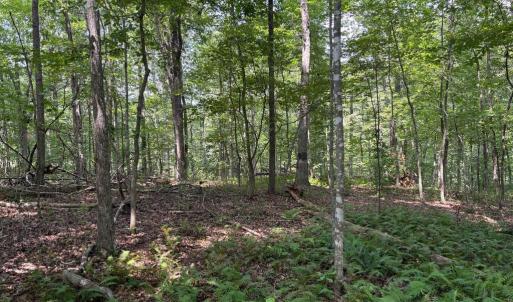 Photo #8 of WEAVER ROAD, AMISSVILLE, VA 3.0 acres