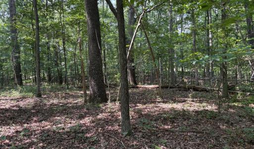Photo #2 of WEAVER ROAD, AMISSVILLE, VA 3.0 acres