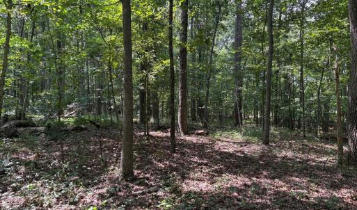Photo #3 of WEAVER ROAD, AMISSVILLE, VA 3.0 acres