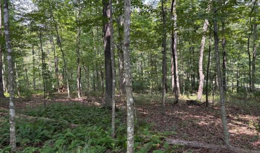 Photo #9 of WEAVER ROAD, AMISSVILLE, VA 3.0 acres