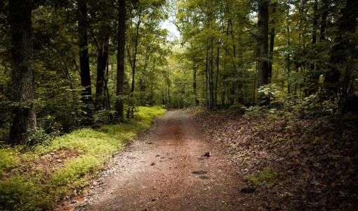 Photo #6 of 1 RAG HILL RD, SYRIA, VA 2.9 acres