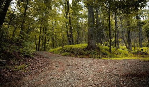 Photo #7 of 1 RAG HILL RD, SYRIA, VA 2.9 acres