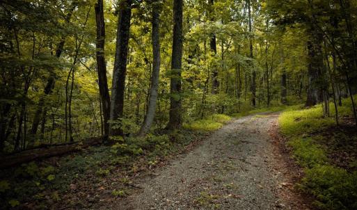 Photo #8 of 1 RAG HILL RD, SYRIA, VA 2.9 acres