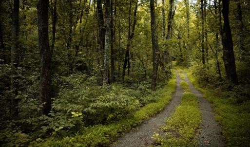 Photo #9 of 1 RAG HILL RD, SYRIA, VA 2.9 acres