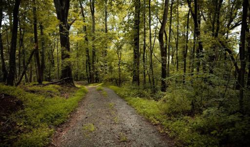 Photo #10 of 1 RAG HILL RD, SYRIA, VA 2.9 acres