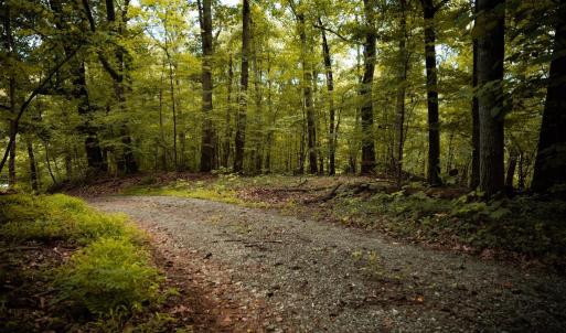 Photo #11 of 1 RAG HILL RD, SYRIA, VA 2.9 acres