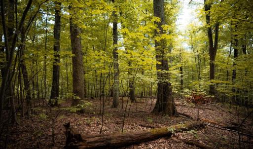 Photo #12 of 1 RAG HILL RD, SYRIA, VA 2.9 acres