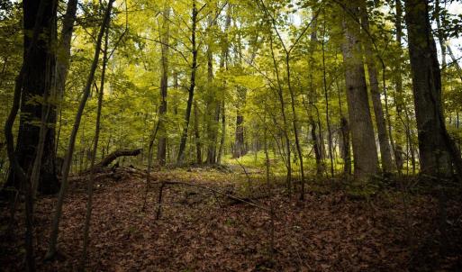 Photo #15 of 1 RAG HILL RD, SYRIA, VA 2.9 acres