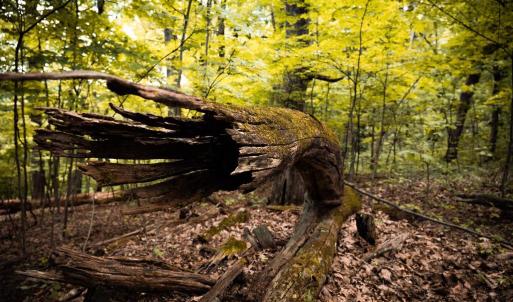 Photo #16 of 1 RAG HILL RD, SYRIA, VA 2.9 acres