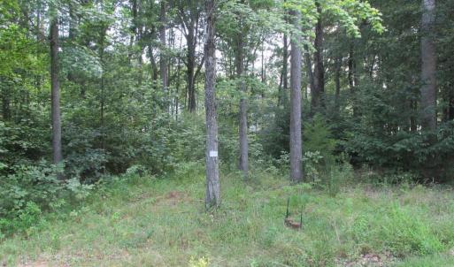 Photo #4 of BLUE SKY WAY, BUMPASS, VA 0.8 acres