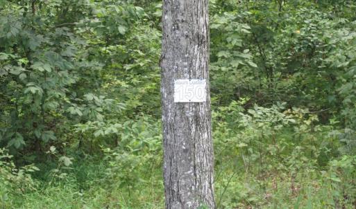 Photo #1 of BLUE SKY WAY, BUMPASS, VA 0.8 acres