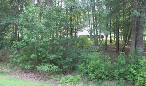Photo #3 of BLUE SKY WAY, BUMPASS, VA 0.8 acres