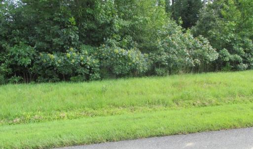 Photo #1 of BLUE SKY WAY, BUMPASS, VA 0.9 acres