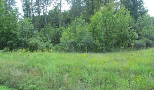 Photo #3 of BLUE SKY WAY, BUMPASS, VA 0.9 acres