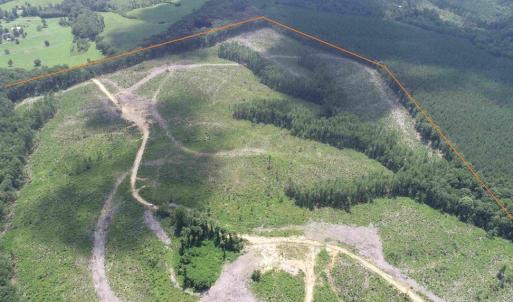 Photo #3 of WEST RIVER RD. (RT. 6) (TRACT: JR A.J. COLLINS-1), SCOTTSVILLE, VA 150.0 acres