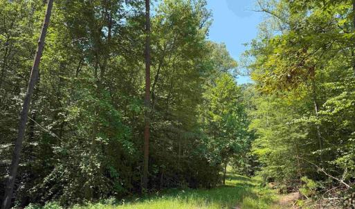 Photo #6 of WEST RIVER RD. (RT. 6) (TRACT: JR A.J. COLLINS-1), SCOTTSVILLE, VA 150.0 acres
