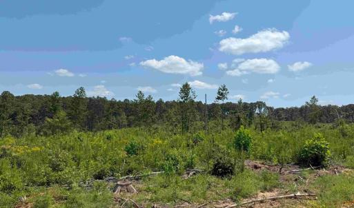 Photo #9 of WEST RIVER RD. (RT. 6) (TRACT: JR A.J. COLLINS-1), SCOTTSVILLE, VA 150.0 acres
