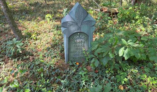 Photo #12 of WEST RIVER RD. (RT. 6) (TRACT: JR A.J. COLLINS-1), SCOTTSVILLE, VA 150.0 acres