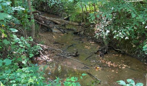 Photo #14 of WEST RIVER RD. (RT. 6) (TRACT: JR A.J. COLLINS-1), SCOTTSVILLE, VA 150.0 acres