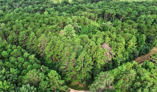 Photo #2 of 4280 LEES CT, LOCUST GROVE, VA 8.0 acres