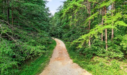 Photo #5 of 4280 LEES CT, LOCUST GROVE, VA 8.0 acres