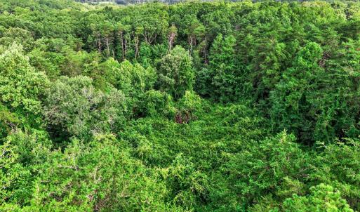 Photo #6 of 4280 LEES CT, LOCUST GROVE, VA 8.0 acres