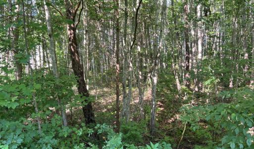 Photo #2 of OVERTON DR, BUMPASS, VA 1.1 acres