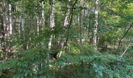 Photo #3 of OVERTON DR, BUMPASS, VA 1.1 acres