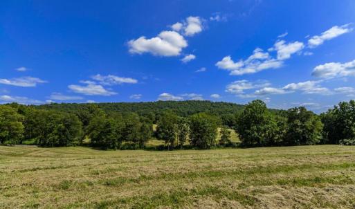 Photo #3 of CLARENDON FARM DR, MARSHALL, VA 50.0 acres