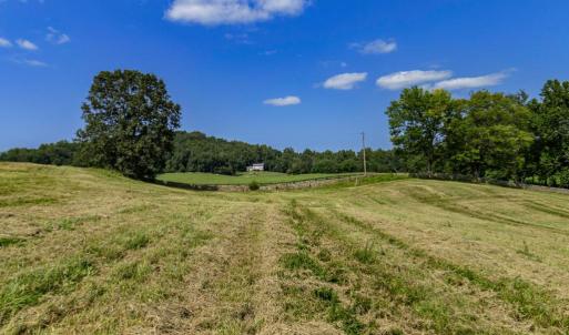 Photo #4 of CLARENDON FARM DR, MARSHALL, VA 50.0 acres
