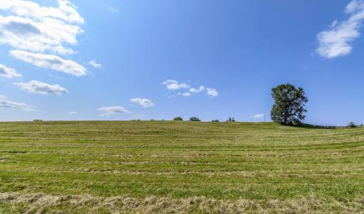 Photo #5 of CLARENDON FARM DR, MARSHALL, VA 50.0 acres