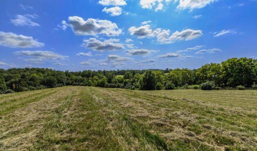 Photo #13 of CLARENDON FARM DR, MARSHALL, VA 50.0 acres