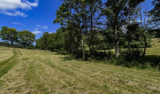 Photo #15 of CLARENDON FARM DR, MARSHALL, VA 50.0 acres