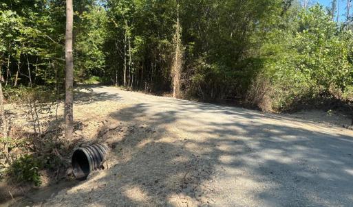 Photo #1 of W HOOVER, REVA, VA 114.9 acres