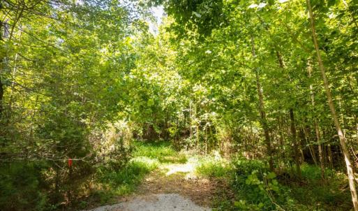 Photo #2 of W HOOVER, REVA, VA 114.9 acres