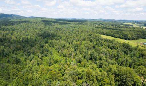 Photo #14 of W HOOVER, REVA, VA 114.9 acres