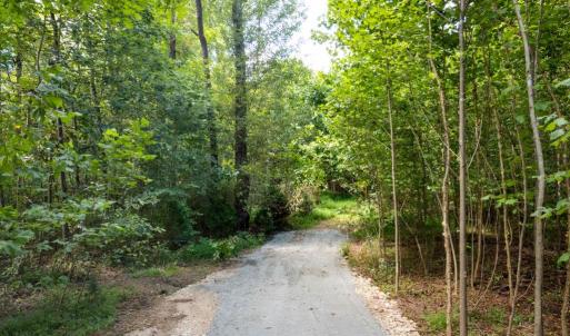 Photo #3 of W HOOVER, REVA, VA 114.9 acres