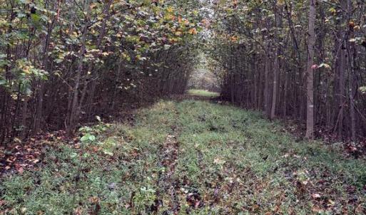 Photo #1 of W HOOVER, MADISON, VA 114.9 acres