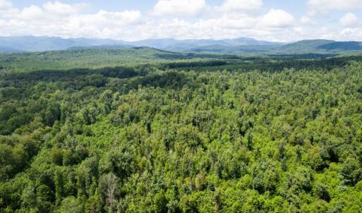 Photo #6 of W HOOVER, MADISON, VA 114.9 acres