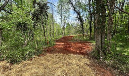 Photo #12 of JAMES MADISON HWY, ORANGE, VA 6.5 acres