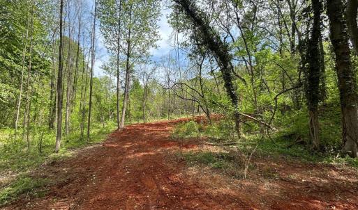 Photo #4 of JAMES MADISON HWY, ORANGE, VA 6.5 acres