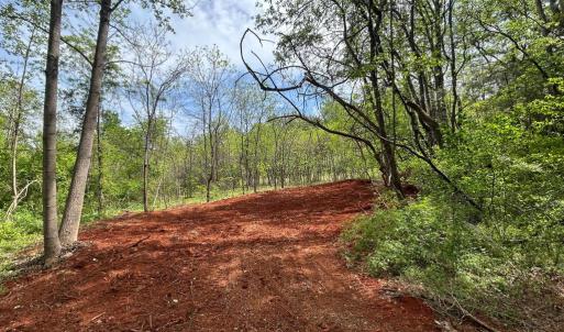 Photo #13 of JAMES MADISON HWY, ORANGE, VA 6.5 acres