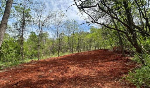 Photo #14 of JAMES MADISON HWY, ORANGE, VA 6.5 acres