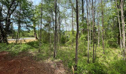 Photo #15 of JAMES MADISON HWY, ORANGE, VA 6.5 acres