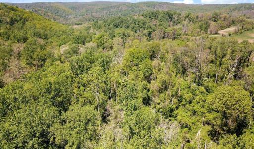 Photo #2 of BLUE RIDGE - LEEDS MANOR ROAD, DELAPLANE, VA 11.8 acres