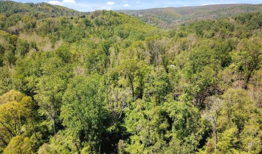 Photo #3 of BLUE RIDGE - LEEDS MANOR ROAD, DELAPLANE, VA 11.8 acres